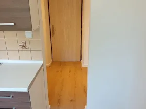 Prodej bytu 1+1, Litvínov, Horní, 33 m2