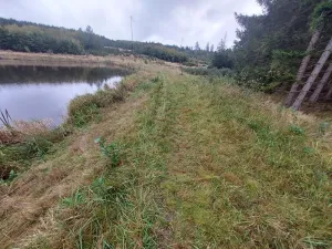 Pronájem rybníku, Brtnice, 16909 m2