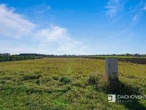 Prodej pozemku pro bydlení, Staré Hradiště, 5910 m2