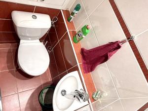 Pronájem bytu 3+1, Jihlava, Na Kopci, 73 m2