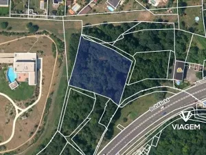 Prodej pole, Ústí nad Labem, 3782 m2