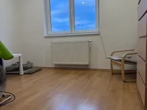 Prodej bytu 5+kk, Brno, Skořepka, 146 m2