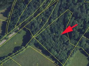Prodej lesa, Cotkytle, 7064 m2