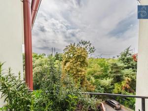 Prodej bytu 2+1, Praha - Záběhlice, Záběhlická, 48 m2