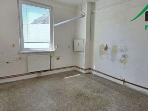 Pronájem výrobních prostor, Planá, 249 m2