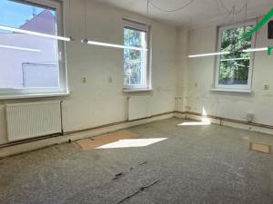 Pronájem výrobních prostor, Planá, 249 m2