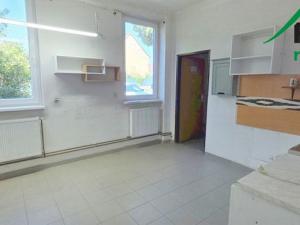 Pronájem výrobních prostor, Planá, 249 m2