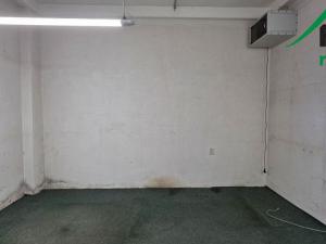 Pronájem výrobních prostor, Planá, 249 m2