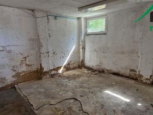 Pronájem výrobních prostor, Planá, 249 m2