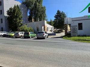 Pronájem výrobních prostor, Planá, 249 m2