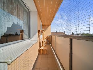 Pronájem bytu 2+kk, Mnichovo Hradiště, Jaselská, 49 m2