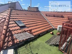 Pronájem bytu 4+kk, Praha - Nové Město, Stárkova, 165 m2