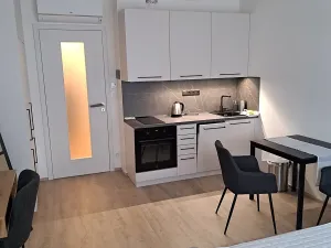 Pronájem bytu 1+kk, Praha - Žižkov, Tetauerova, 27 m2