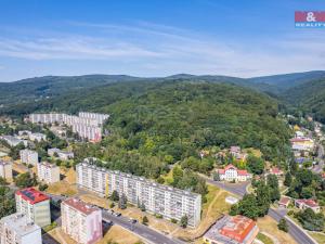Prodej bytu 4+1, Litvínov - Janov, Hamerská, 73 m2