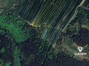 Prodej lesa, Svatoslav, 1231 m2