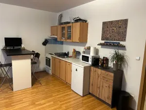 Pronájem bytu 1+kk, Brno, Francouzská, 39 m2