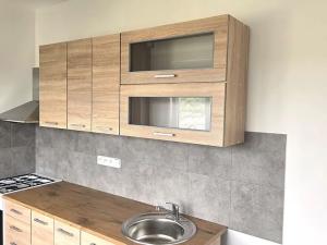 Pronájem bytu 1+1, Kralupy nad Vltavou, nám. Mládežníků, 38 m2
