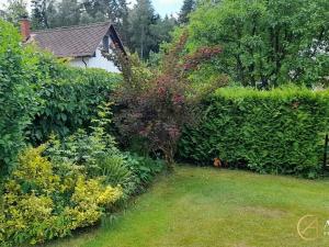 Prodej chaty, Dubovice, 36 m2