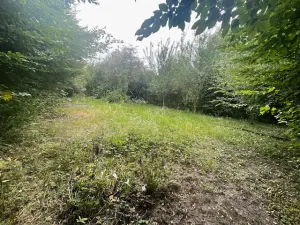 Prodej zahrady, Přerov, Jižní čtvrť III, 315 m2