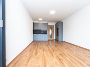 Pronájem bytu 1+kk, Praha - Háje, Výstavní, 33 m2