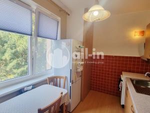 Prodej bytu 2+1, Vyškov - Vyškov-Předměstí, Sochorova, 56 m2