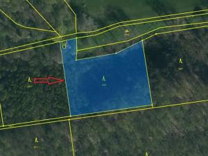 Prodej lesa, Horní Bukovina, 4881 m2