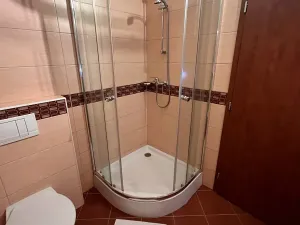 Pronájem pokoje, Rádlo, 25 m2