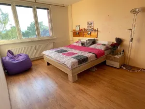 Pronájem bytu 2+1, Frýdek-Místek, Mánesova, 55 m2