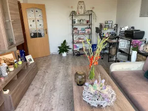 Pronájem bytu 2+1, Frýdek-Místek, Mánesova, 55 m2