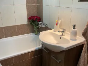 Pronájem bytu 2+1, Frýdek-Místek, Mánesova, 55 m2