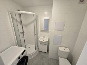Pronájem bytu 2+kk, Most, Šeříková, 42 m2