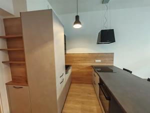 Pronájem bytu 1+kk, Praha - Žižkov, Chlumova, 38 m2