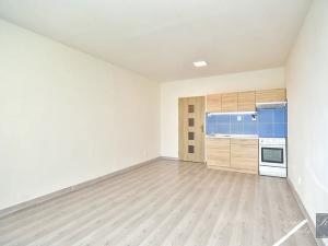 Pronájem bytu 1+kk, Ústí nad Labem, Rozcestí, 27 m2