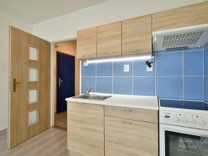 Pronájem bytu 1+kk, Ústí nad Labem, Rozcestí, 27 m2