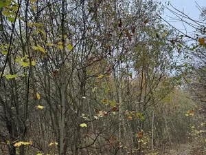 Prodej pozemku, Praha, 9174 m2