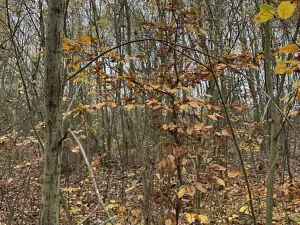 Prodej pozemku, Praha, 9174 m2