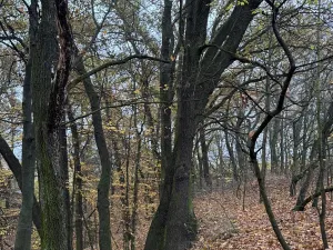 Prodej pozemku, Praha, 9174 m2