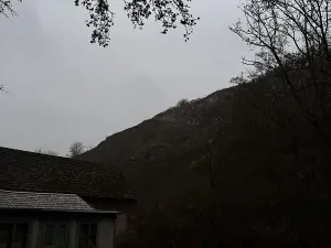 Prodej podílu lesa, Praha, 4596 m2