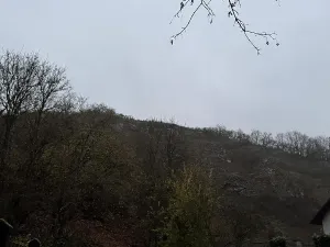 Prodej podílu lesa, Praha, 4596 m2