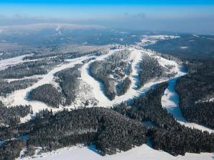 Prodej bytu 2+kk, Abertamy, Pražská, 45 m2