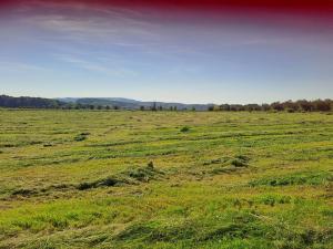 Prodej domu, Rovensko pod Troskami - Václaví, 400 m2
