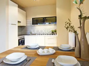 Pronájem bytu 2+kk, Praha - Vinohrady, Italská, 75 m2