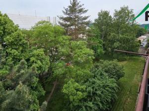 Pronájem bytu 2+1, Tachov, Školní, 58 m2