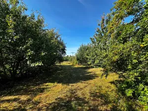 Prodej pozemku pro bydlení, Suchdol nad Odrou, 1500 m2