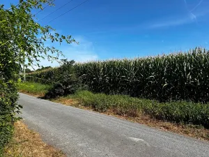 Prodej pozemku pro bydlení, Suchdol nad Odrou, 1500 m2