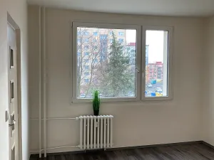 Pronájem bytu 1+1, Chomutov, 17. listopadu, 36 m2
