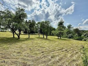 Prodej pozemku pro bydlení, Kácov, 9881 m2