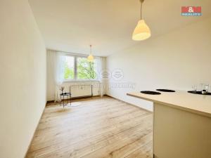 Pronájem bytu 1+kk, Praha - Krč, Štúrova, 28 m2