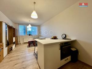 Pronájem bytu 1+kk, Praha - Krč, Štúrova, 28 m2