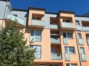 Prodej bytu 2+kk, Karlovy Vary, Spálená, 50 m2